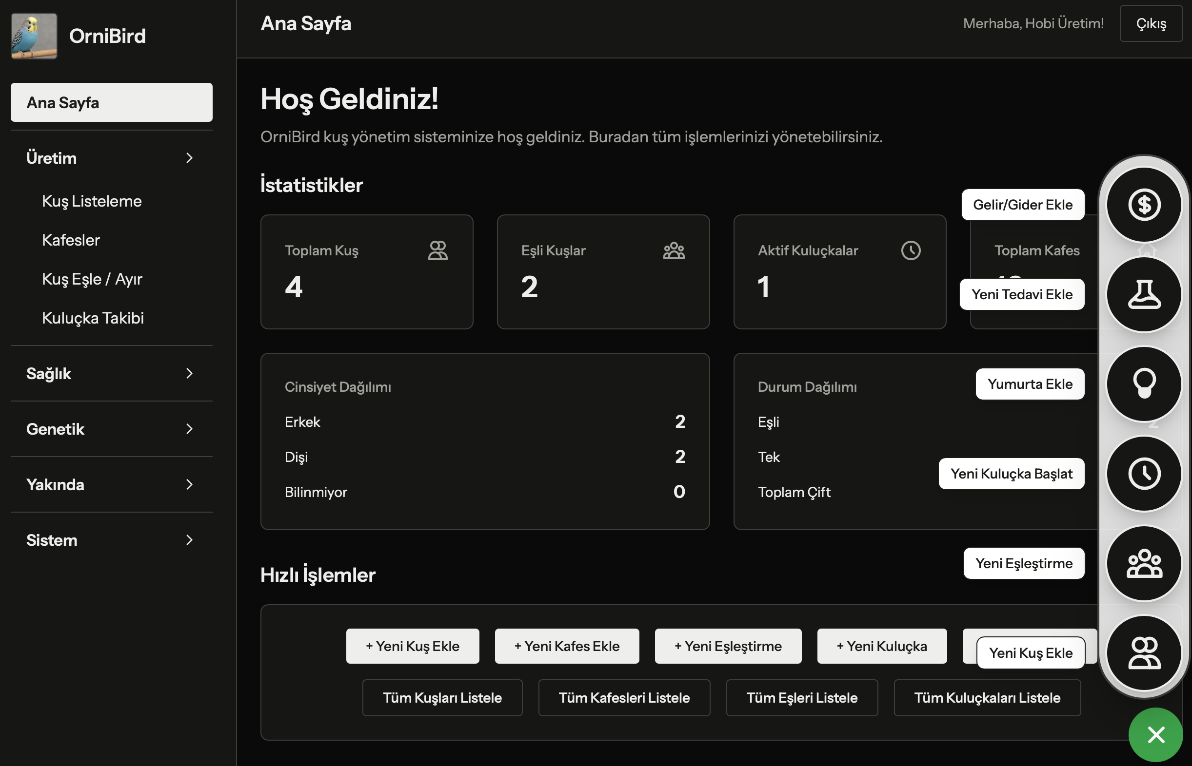 Örnek Dashboard